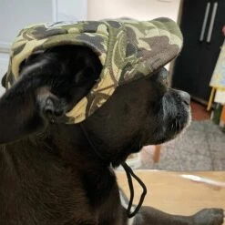 BETTERLIFE Petit Chien Casquette De Baseball Extérieur Pet Chapeau De Soleil D'été En Toile Visor Chiot (M, Camouflage) -Protection auditive et tête Soldes 2022 37542594 3