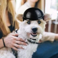 REGALI Casque Pour Animaux Compagnie, Casquette De Sécurité Pour Chien, Casquette Casque Vélo Pour Chats, Universel Plastique Ajustable Casque Moto Pour Chien Pour Petits Chiens, Chats (Noir) -Protection auditive et tête Soldes 2022 54959880 5