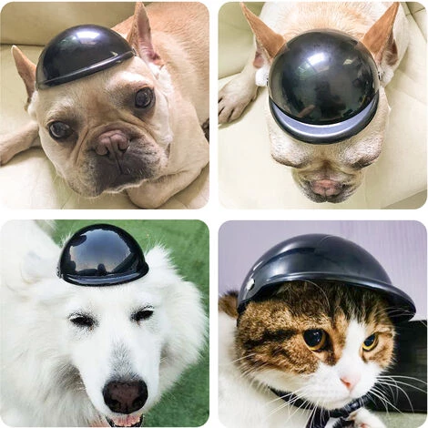 LIFCAUSAL Casquettes De Casque Pour Animaux De Compagnie Pour Petits Chiots Chiens Chats Chapeau De Vélo De Moto 4 LIFCAUSAL Casquettes De Casque Pour Animaux De Compagnie Pour Petits Chiots Chiens Chats Chapeau De Vélo De Moto – Image 2