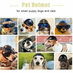 LIFCAUSAL Casquettes De Casque Pour Animaux De Compagnie Pour Petits Chiots Chiens Chats Chapeau De Vélo De Moto 9 LIFCAUSAL Casquettes De Casque Pour Animaux De Compagnie Pour Petits Chiots Chiens Chats Chapeau De Vélo De Moto -Protection auditive et tête Soldes 2022 59796839 3