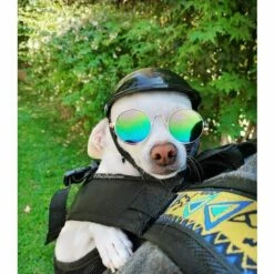 PERLE RARE Casque De Chien Casque De Moto Pour Animaux De Compagnie Casquette De Sécurité Pour Vélo Cyclisme Casques De Chien Pour Motos Pour Vélo Petite Taille -Protection auditive et tête Soldes 2022 63734124 3