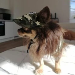 Petit Chien Casquette De Baseball Extérieur Pet Chapeau De Soleil D'été En Toile Visor Chiot (M, Camouflage) 56Vingt -Protection auditive et tête Soldes 2022 64939351 5