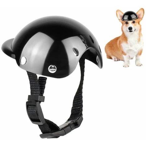 ECHOO Casque Pour Animaux Compagnie, Casquette De Sécurité Pour Chien, Casquette Casque Vélo Pour Chats, Universel Plastique Ajustable Casque Moto Pour Chien Pour Petits Chiens, Chats (Noir) 3 ECHOO Casque Pour Animaux Compagnie, Casquette De Sécurité Pour Chien, Casquette Casque Vélo Pour Chats, Universel Plastique Ajustable Casque Moto Pour Chien Pour Petits Chiens, Chats (Noir)
