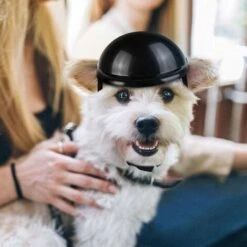 ECHOO Casque Pour Animaux Compagnie, Casquette De Sécurité Pour Chien, Casquette Casque Vélo Pour Chats, Universel Plastique Ajustable Casque Moto Pour Chien Pour Petits Chiens, Chats (Noir) 11 ECHOO Casque Pour Animaux Compagnie, Casquette De Sécurité Pour Chien, Casquette Casque Vélo Pour Chats, Universel Plastique Ajustable Casque Moto Pour Chien Pour Petits Chiens, Chats (Noir) -Protection auditive et tête Soldes 2022 66647024 5