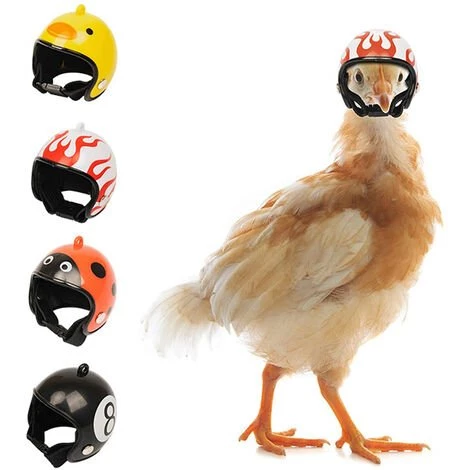 CATHERINE Casque De Poulet 4pcs, Casque De Sécurité Pour Oiseaux, Poulet De Protection De Tête De Poulet Réglable Pour Animaux De Compagnie 3 CATHERINE Casque De Poulet 4pcs, Casque De Sécurité Pour Oiseaux, Poulet De Protection De Tête De Poulet Réglable Pour Animaux De Compagnie