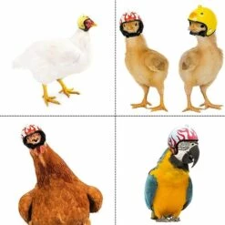 CATHERINE Casque De Poulet 4pcs, Casque De Sécurité Pour Oiseaux, Poulet De Protection De Tête De Poulet Réglable Pour Animaux De Compagnie 9 CATHERINE Casque De Poulet 4pcs, Casque De Sécurité Pour Oiseaux, Poulet De Protection De Tête De Poulet Réglable Pour Animaux De Compagnie -Protection auditive et tête Soldes 2022 67435685 3